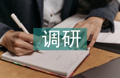 品牌战略调研