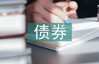 新增债券投资