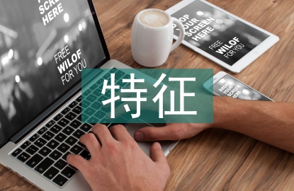 企业财务战略的特征