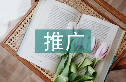 营销策划与推广