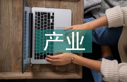 产业发展状况