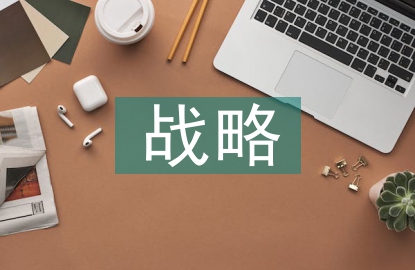 企业信息化战略与实施