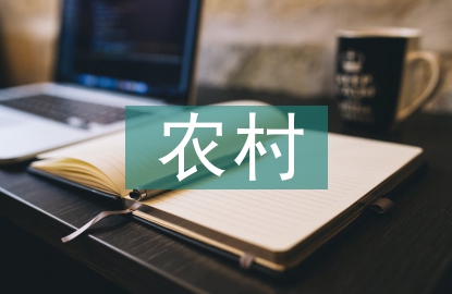 农村现代化发展