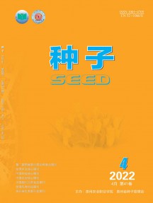 种子