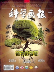 科学画报