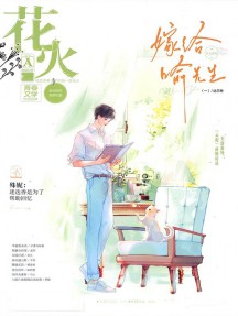 花火杂志