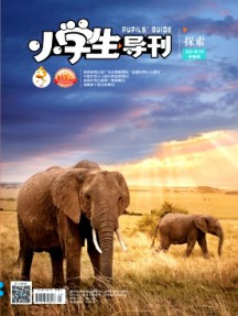 小学生导刊·中年级