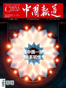 中国报道