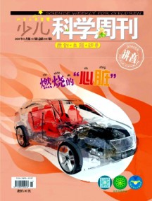 少儿科学周刊·儿童版