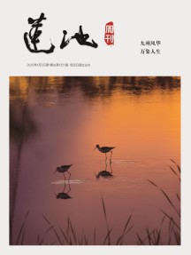 莲池周刊