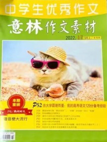 中学生优秀作文杂志
